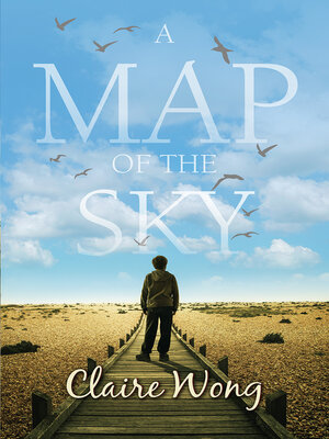 cover image of A Map of the Sky
